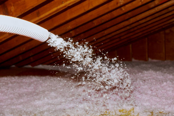 Professional Insulation Contractor in Dortches, NC