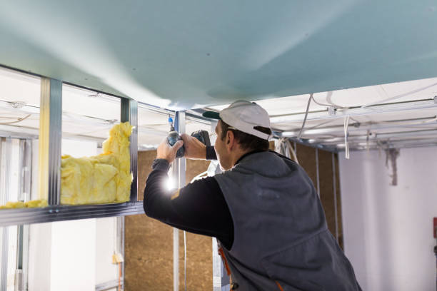 Best Residential Insulation in Dortches, NC