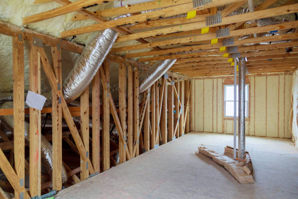 Best Specialized Insulation Services in Dortches, NC