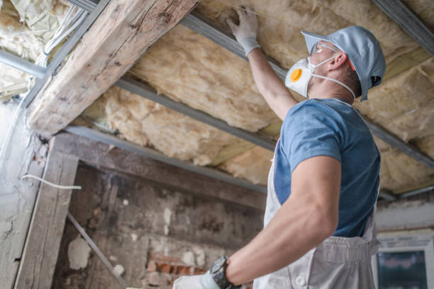 Best Spray Foam Insulation in Dortches, NC