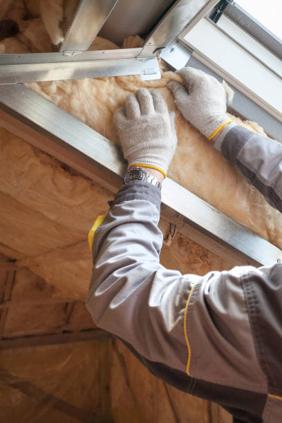 Best Commercial Insulation in Dortches, NC