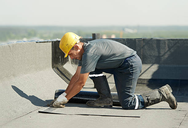 Best Energy Efficiency Insulation in Dortches, NC