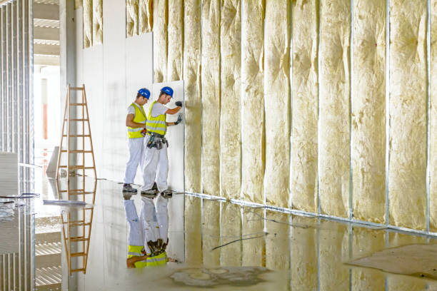 Best Spray Foam Insulation in Dortches, NC